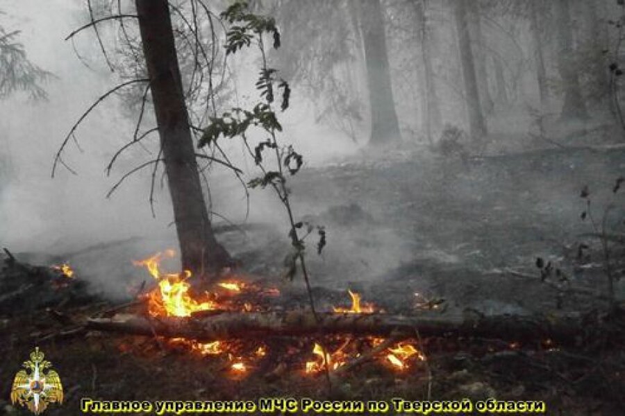 В двух районах Тверской области горел лес