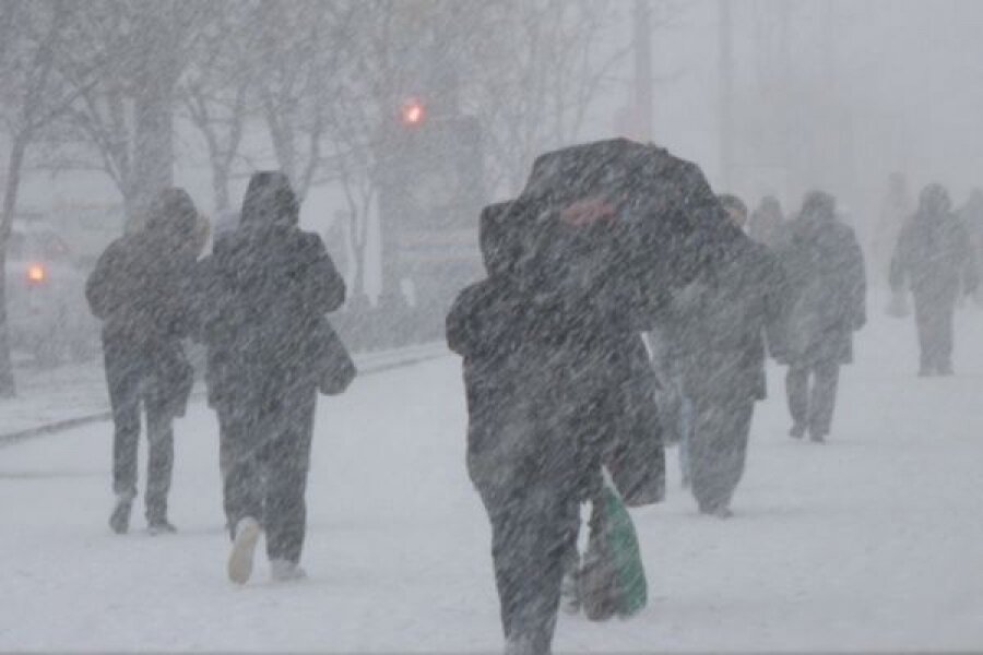 Снегопады пришли в Тверскую область