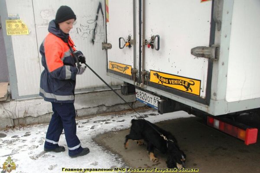 В центре Твери кинолог с собакой обследовали подозрительные бесхозные сумки