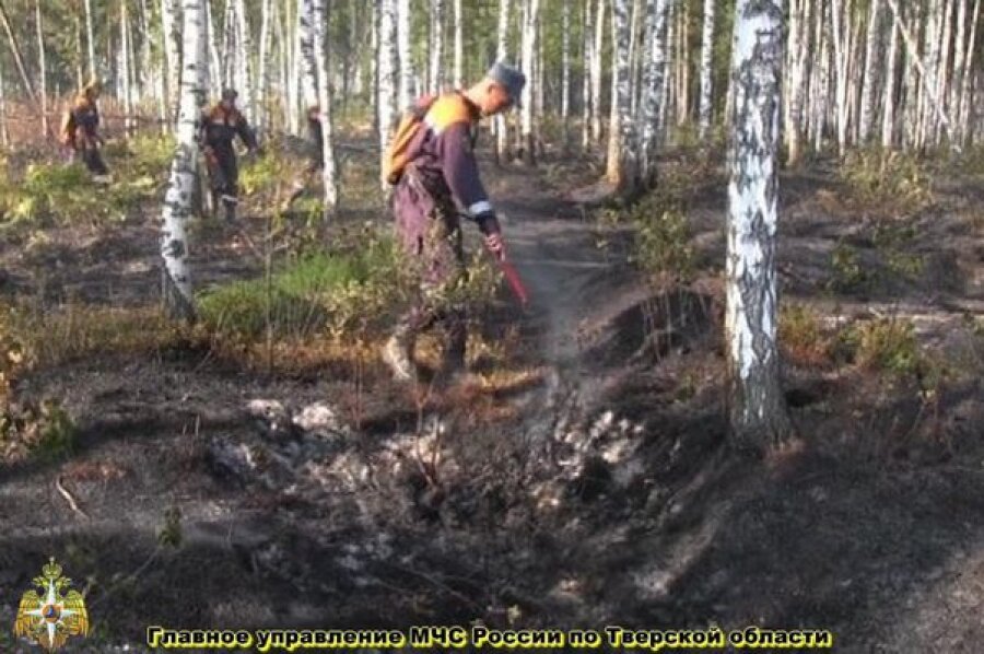 Обстановка с пожарами в Тверской области улучшилась