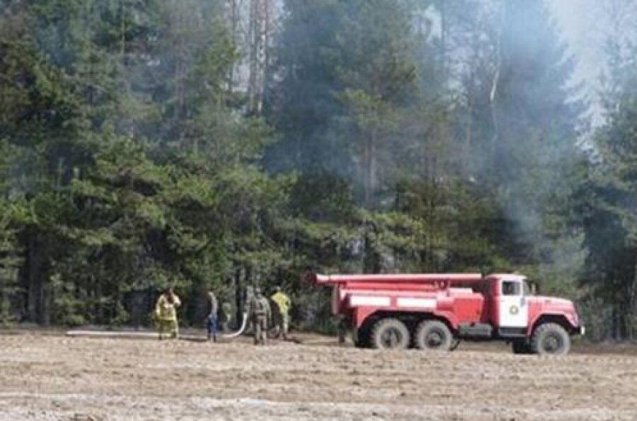 Два лесных пожара зарегистрировано в Тверской области за полдня