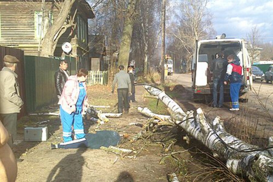 Из-за шторма в Тверской области в 6 районах отключалось электричество, погиб один человек