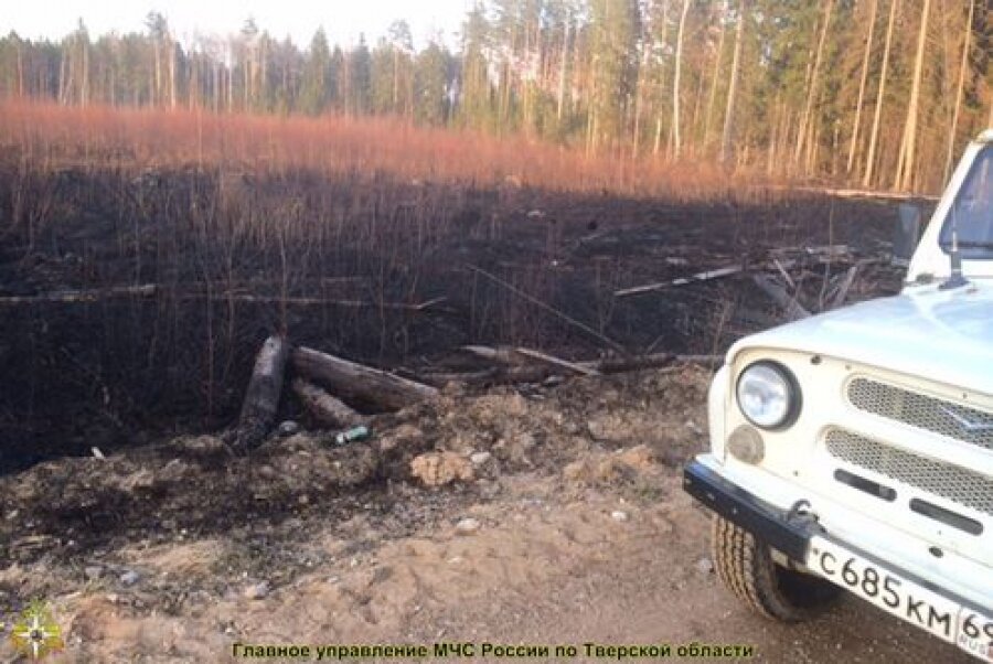 В Тверской области горит не только трава, но и лес