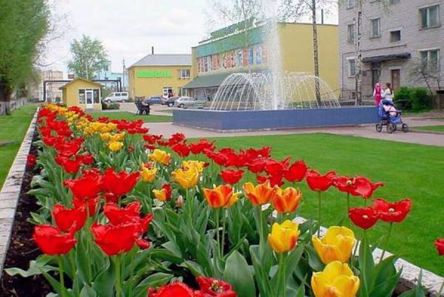 Западная двина тверская область. Западная Двина город города Тверской области. Западная Двина Тверская область городской сад. Город Западная Двина Тверская область фото.