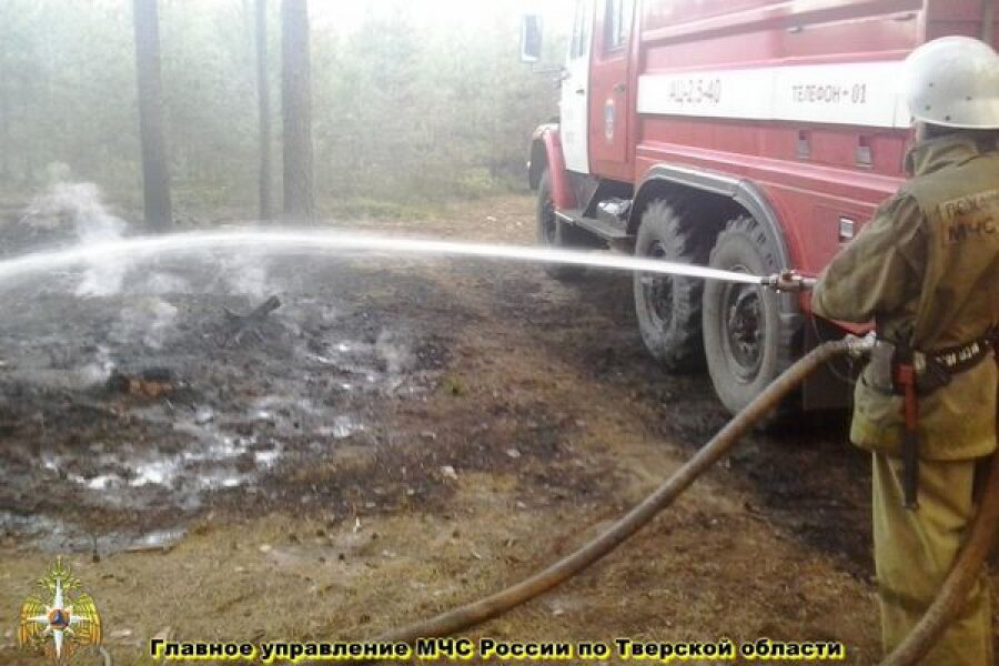 В Калининском районе горел лес рядом с двумя населенными пунктами