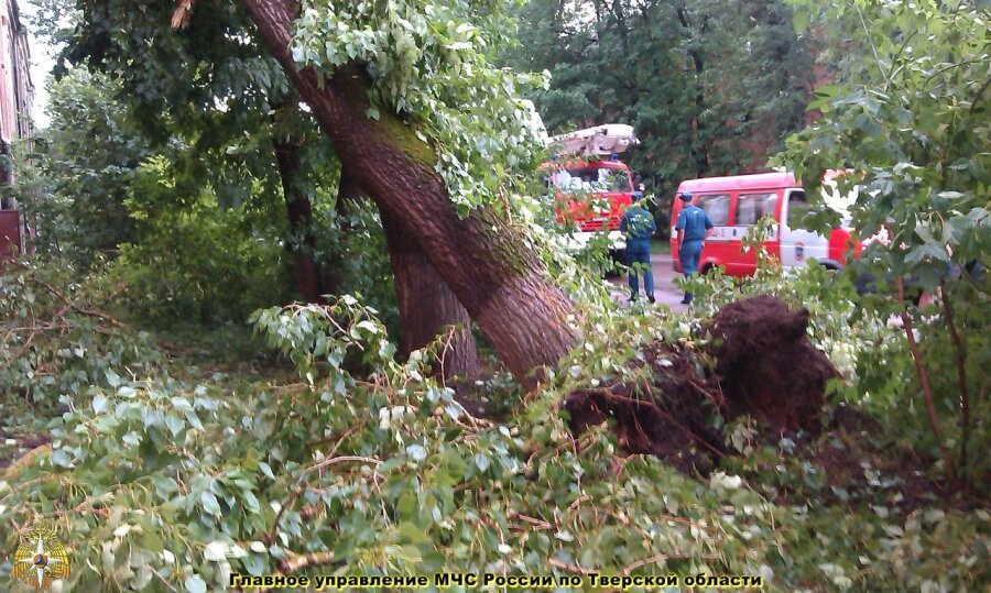 Сотрудники МЧС ликвидировали последствия грозы