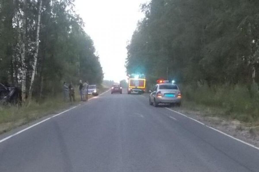 В Кимрском районе легковушка съехала в кювет: один человек погиб