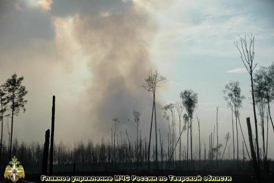 В Тверской области с начала лета зарегистрировано около 200 пожаров